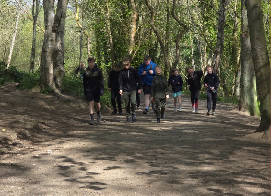 Forest walk